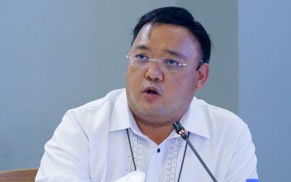 <p>Presidential Spokesperson Harry Roque. <em>(File photo)</em></p>