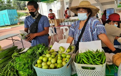 <p><strong>FRESH AND AFFORDABLE.</strong> Agricultural produce are directly sold in Kadiwa stores nationwide to allow farmers and cooperatives to earn more, like in this undated photo taken in Zambales. Consumers likewise benefit from the stores with fresh products at lower prices. <em>(Contributed photo)</em></p>