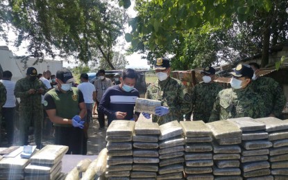 <p><strong>SEIZED MARIJUANA</strong>. Some P20 million worth of marijuana bricks and leaves with fruiting tops were seized by authorities during an operation in Barangay San Francisco, Concepcion, Tarlac on Thursday (Feb. 18, 2021). The operation also resulted in the arrest of six drug suspects. <em>(Photo courtesy of Police Regional Office-3)</em></p>