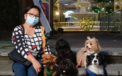 <p><strong>PAMULINAWEN FEST FOR DOGS, TOO.</strong> Fur parent Alma Yanos and her Oreo, Twixie, Macaroons, Sugar, and Habibi join Laoag City's dog health caravan on Saturday (Feb. 20, 2021). The event aims to promote responsible pet ownership. <em>(Photo by Alaric Yanos)</em></p>