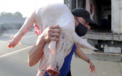<p><strong>PORK DELIVERY.</strong> A slaughtered hog is taken to the Commonwealth Market in Quezon City in this undated photo. The Department of Agriculture on Friday (May 7, 2021) reported that since February 8, nearly 400,000 live hogs from provinces have been transported to Metro Manila. <em>(PNA file photo by Joey Razon)</em></p>