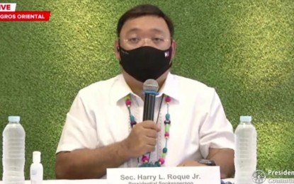 <p>Presidential Spokesperson Harry Roque <em>(File photo)</em></p>