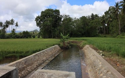<p><strong>IRRIGATION</strong>. The Can-olin Spring Development Project will irrigate 15 hectares of rice land in Barangay Can-olin in the eastern town of Candijay in Bohol. The Department of Agriculture in Central Visayas (DA-7) said on Saturday (Feb. 27, 2021) the PHP1.41-million irrigation system would increase farm production in the province. <em>(Photo courtesy of DA-7)</em></p>