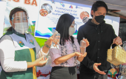 <p><strong>FISH, NOT PORK.</strong> The Department of Agriculture and the local government of Quezon City award ASF-affected hog raisers in Barangay Payatas and Bagong Silangan on Friday (March 5, 2021) with alternative sources of livelihood. In photo, DA Undersecretary for Agri-Industrialization and for Fisheries Cheryl Natividad-Caballero, Quezon City Mayor Joy Belmonte, and Vice Mayor Gian Sotto award <em>tilapia</em> fingerlings and aquaculture sets to select beneficiaries. <em>(Photo courtesy of DA-BFAR)</em></p>