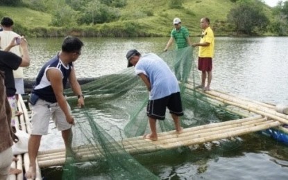 Bohol fishermen get aid for tilapia production