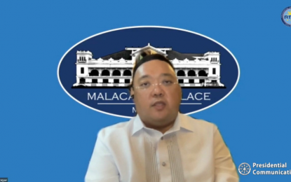 <p>Presidential Spokesperson Harry Roque <em>(screenshot)</em></p>