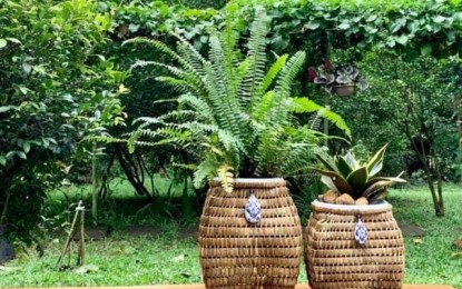 <p><strong>PROUDLY NEGRENSE</strong>. Woven planters made by Artisana Island Crafts, one of the seven producers from Negros Occidental participating in the ongoing 2nd Virtual Philconstruct Show VX 2021. Seven Negrense handicraft producers are taking part in the event which opened on Wednesday (March 24, 2021) and will run until March 30. <em>(Contributed Photo)</em></p>