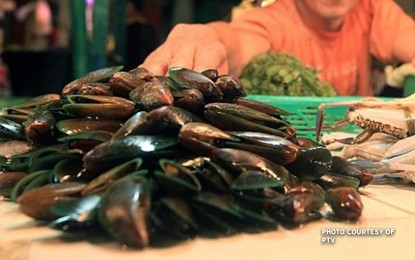 <p><strong>RED-TIDE FREE.</strong> The shellfish industry in the Bicol Region received good news on Thursday (March 25, 2021) after the Bureau of Fisheries and Aquatic Resources declared Sorsogon Bay red-tide free. Samples were taken for three consecutive weeks, according to officials. <em>(PNA file photo)</em></p>
