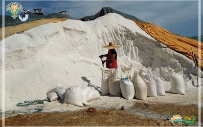 <p><strong>SALT PRODUCTION.</strong> A worker at a salt farm in a Pangasinan town gathers salt. The national government has allocated PHP100 million to boost the salt industry in the Ilocos Region.<em> (Photo courtesy of BFAR Ilocos Region)</em></p>