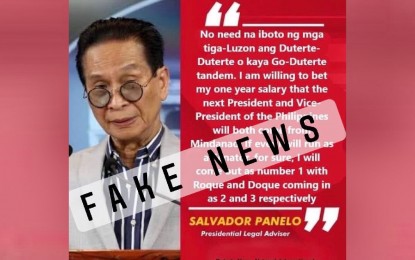 Panelo chides ‘fakers’ behind false comments attributed to him