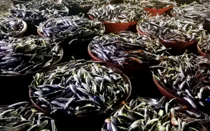 <p><strong>FISH SUPPLY. </strong>The Philippine Fisheries Development Authority–Navotas Fish Port Complex (PFDA-NFPC) reached an unloading record of 46,436.77 metric tons (MT) of fish in the first quarter of 2021. The authority on Thursday (April 8, 2021) says the month of March with the highest unloading value. <em>(Photo courtesy of</em> <em>PFDA-NFPC) </em></p>