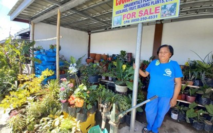<p>BIZ REOPENING. Garden shop owner Angelita Escaño mans her shop along Romulo Highway in Mangatarem, Pangasinan in this photo taken on March 24, 2021. She said her business was affected by the enhanced community quarantine in Luzon in 2020 but it is slowly recovering. <em>(Photo by Joann Villanueva)</em></p>