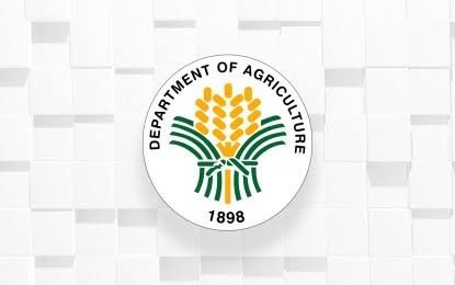 DA signs pact with DTI, NIA on rice supply chain