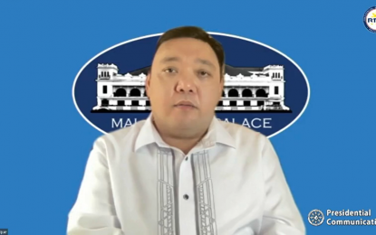 <p>Presidential Spokesperson Harry Roque <em>(File photo)</em></p>