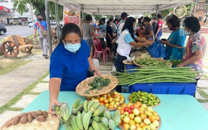 <p><strong>COMMUNITY PANTRY</strong>. Some councilors in Laoag City initiated a community pantry at Aurora Park. The pantry opens Wednesday (April 21, 2021) from 9 a.m. to 5 p.m., and runs until Friday (April 23, 2021). (<em>PNA photo by Leilanie G. Adriano</em>) </p>