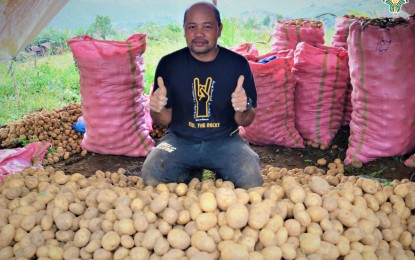 <p><strong>POTATO HARVEST.</strong> A farmer in Barangay Alegre, Bansalan, Davao del Sur, shows his potato harvest in this undated photo. Farmers in the area report an increase in yield after using government-provided agricultural technologies. <em>(Photo courtesy of DA-11)</em></p>