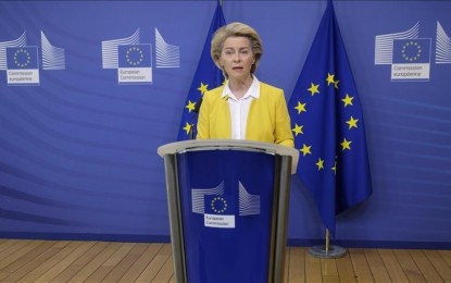 <p>European Commission chief Ursula von der Leyen</p>