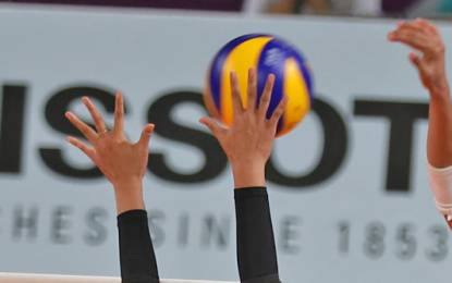 All tryout participants make women's volleyball pool