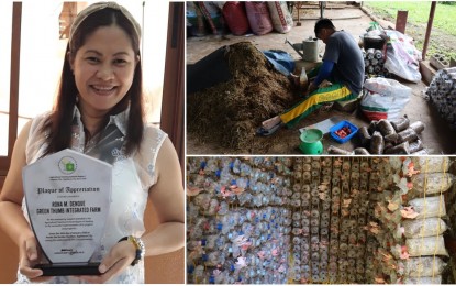 <div class="gmail_default"><strong>'MUSHROOM QUEEN'.</strong> Agripreneur Rona Denque's venture into fungi production has earned her the recognition as Bohol's queen of cultured mushrooms. In 2017, she officially started her mushroom journey with a formal training on mushroom culture and production from the Department of Agriculture.<em> (Photos courtesy of Green Thumb Farm and DA-7)</em></div>
