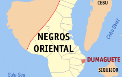 <p>Google map of Dumaguete City</p>