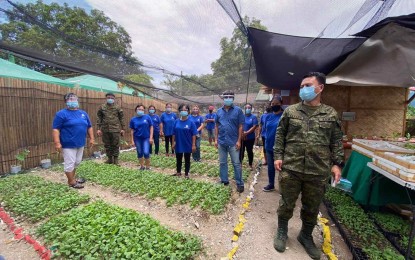 <p><strong>URBAN FARM.</strong> Lt. Col. Celeste Frank Sayson (right), group commander of the 7th Civil Relations Group of the Armed Forces of the Philippines (AFP), surveys an urban farm at the Department of Social Welfare and Development field office in Las Piñas City on Friday (May 7, 2021). The AFP and DSWD signed a deal to promote urban farming that will help promote food security, especially in the depressed sector of society. <em>(Contributed photo)</em></p>