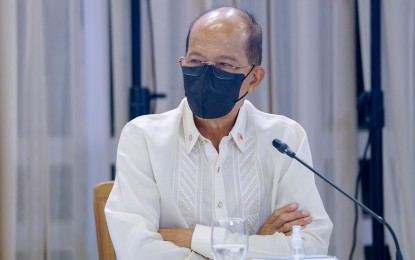 <p>Defense Secretary Delfin Lorenzana<em> (PPD photo)</em></p>