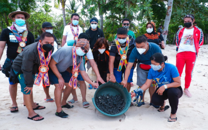 <p><strong>BACK TO THE SEA.</strong> BARMM environment officials release turtle hatchlings back to the sea during the Adlaw sin Payukan (Day of the Sea Turtle) Festival in Turtle Island in Tawi-Tawi on May 23, 2021, as the Bangsamoro region takes over supervision and care of the sanctuary. The Turtle Islands in Tawi-Tawi is the 11th known marine turtles’ nesting area in the world. <em>(Photo courtesy of MENRE-BARMM)</em></p>