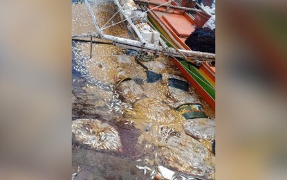 <p><strong>TOTAL WASTE</strong>. A fisheries official has blamed overfishing in Bicol and Samar for the rotting sardines found in the fish port of Bulan town, Sorsogon province, as shown in this Facebook post on Friday (May 28, 2021). According to the post, vendors have thrown tubs of sardines as no one was buying them even at a measly price of PHP20 per basin. <em>(Photo from Bong Hapon)</em></p>