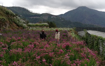 <p><strong>BAGUIO FLOWERS</strong>. Tourism Secretary Bernadette Romulo-Puyat (left), on Monday (May 31, 2021) encourages local government units to open their areas to tourism to help drum up the economy. She said protocols and systems are in place and the DOT can provide technical assistance to local government units that desire to open their areas under a new normal. (<em>PNA photo by Liza T. Agoot</em>) </p>