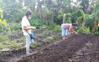 <p><strong>GARDENING PROJECT</strong>. This undated photo shows members of the Legazpi City Women's Federation planting assorted vegetables that their families could consume, or even sell to the market for additional income. The City Agriculture Office handed the federation assorted vegetable seedlings. <em>(Photo courtesy of the Legazpi City Women’s Federation)</em></p>