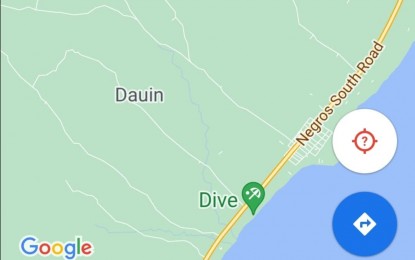 <p>Google map of Dauin, Negros Oriental</p>