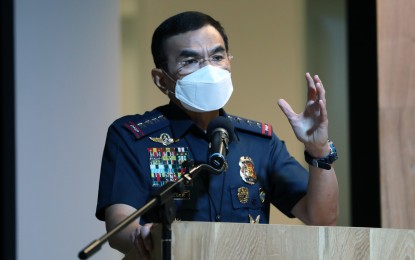 <p>PNP chief Gen. Guillermo Eleazar <em>(File photo)</em></p>