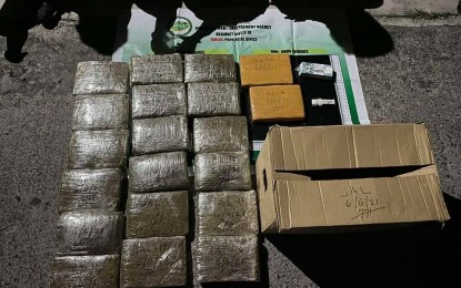 <p><strong>CONFISCATED</strong>. The PHP2.4 million worth of dried marijuana bricks seized from two drug suspects in Tarlac City on Sunday (June 6, 2021). PDEA Central Luzon Director Christian O. Frivaldo identified the two as Julius Castro, 24 and John David Tapar, 28, both residents of Tarlac City. <em>(Photo courtesy of PDEA-3)</em></p>