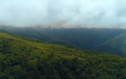 Over 122K hectares of denuded forestlands restored in C. Luzon