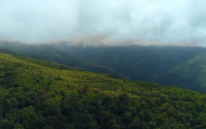 <p><strong>ENHANCED NATIONAL GREENING PROGRAM.</strong> Over 122,000 hectares of denuded forestlands and watersheds have been rehabilitated in Central Luzon through the DENR's Enhanced National Greening Program (E-NGP) since 2011. DENR-3 executive director Paquito Moreno, Jr. said on Monday (June 7, 2021) the government's flagship reforestation program has continued to rehabilitate the region's degraded areas and has reinforced its efforts on increasing the survival rate of these plantation sites.<em> (Photo courtesy of DENR Region 3)</em></p>