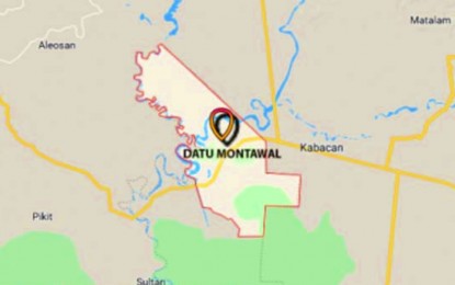 <p>Google map of Datu Montawal, Maguindanao</p>