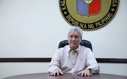 <p>DND spokesperson Arsenio Andolong <em>(File photo)</em></p>