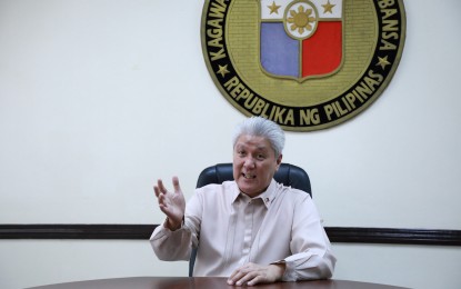 <p>DND spokesperson Arsenio Andolong <em>(File photo)</em></p>