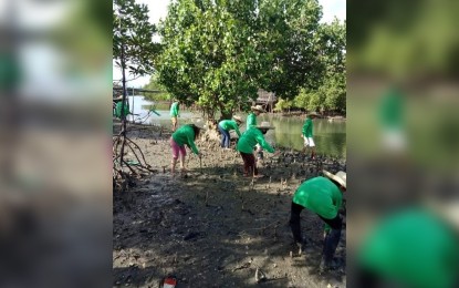 <p><strong>EMERGENCY EMPLOYMENT</strong>. Workers hired under the Tulong Panghanapbuhay sa Ating Disadvantaged/Displaced Workers (TUPAD) program plant mangroves in a barangay in Roxas City, Capiz. DOLE Capiz officer-in-charge Amy Judicpa, in an interview Thursday (June 17, 2021), said for the second quarter of 2021, the emergency employment program will benefit 13,285 workers in the province. <em>(File photo courtesy of DOLE Capiz)</em></p>