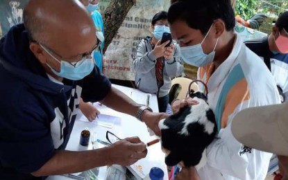 <p><strong>RABIES VACCINATION</strong>. A pet owner in Manapla, Negros Occidental gets his dog vaccinated against rabies in February this year. The Provincial Veterinary Office on Monday (June 21, 2021) said it was holding mass vaccination in various towns and cities as part of the activities to curb the spread of rabies cases. <em>(File photo courtesy of PVO-Negros Occidental District Field Unit 2)</em></p>