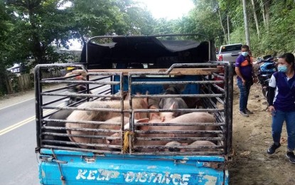 <p><strong>ASF CHECKPOINT.</strong> All entry points in Misamis Oriental are closely guarded, like in this undated photo, to prevent the entry of hogs without the required travel documents. On Monday (June 21, 2021), the provincial veterinary office confirmed two new positive cases of the African swine fever in Manticao town. <em>(Photo courtesy of MisOr-PIO)</em></p>