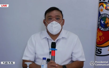 <p>Presidential Spokesperson Harry Roque <em>(Screengrab from RTVM)</em></p>