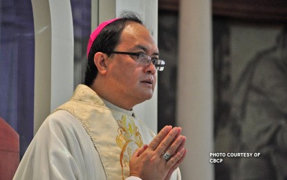 <p>Caloocan Bishop Pablo Virgilio David <em>(CBCP photo)</em></p>