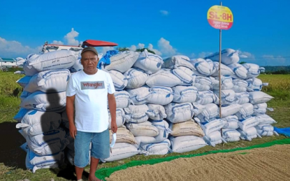 <p><strong>GOOD HARVEST.</strong> George T. Pasion Jr., 47, of Barangay San Marcos, San Nicolas, Ilocos Norte proudly shows the 285.6 cavans or 14.3 metric tons per hectare (MT/ha) of rice he harvested this last cropping season (April 2021). Pasion said support from the government should be accompanied with hard work and good character. <em>(Contributed photo)</em></p>
