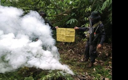 <p><strong>BURNED</strong>. Government forces burned a total of PHP4.2 million worth of marijuana discovered in Barangay Badeo, Kibungan, Benguet in a two-day operation on July 12 and 13. Marijuana eradication is a continuing law enforcement activity of the Cordillera Administrative Region police to rid the region of illegal drugs. (<em>Photo courtesy of PROCor-PIO</em>) </p>