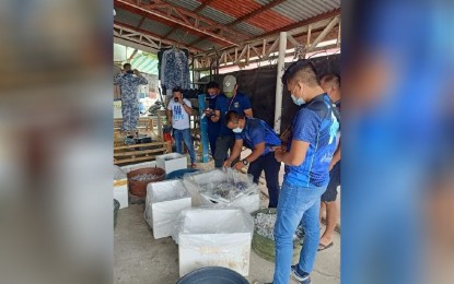 <p><strong>INTERCEPTED</strong>. About 1,210 pieces of live corals, 1,103 of which were in small sizes and 107 pieces were in medium size, are intercepted by the Bureau of Fisheries and Aquatic Resources (BFAR)-7 at the Hagnaya Port in Cebu’s San Remigio town. The appraised market value of the confiscated corals would be at least PHP7,260,000, BFAR said on Saturday (July 17, 2021). <em>(Photo courtesy of BFAR-7)</em></p>