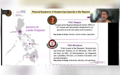 <p><strong>SEQUENCING.</strong> Dr. Cynthia Saloma, Executive Director of the University of the Philippines-Philippine Genome Center (PGC), on Friday (July 23, 2021) said they plan to equip their centers in Visayas and Mindanao with machines that could perform genome sequencing. She said they have already submitted their proposal to the Department of Science and Technology on July 22. <em>(PNA photo screenshot from virtual presser)</em></p>