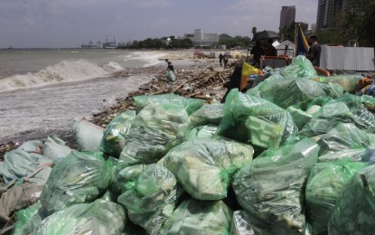 <p>Ocean waste clean-up.<em> (File photo)</em></p>