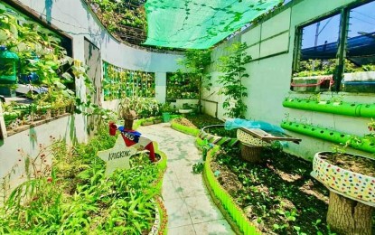 <p><strong>URBAN GARDEN AWARDEE.</strong> Barangay San Antonio’s urban garden located along Gen. Delgado corner Gen. Lukban Streets. Pasig Mayor Vico Sotto on Wednesday (July 29, 2021) awarded a certificate of recognition and PHP40,000 cash prize to Barangay San Antonio (BSA) as the grand winner of the Sustainable Urban Gardening Contest 2021.<em> (Photo courtesy of BSA)</em></p>