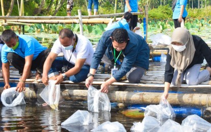 <p><strong>LIVELIHOOD.</strong> Officials of the Ministry of Agriculture, Fisheries, and Agrarian Reform of the Bangsamoro government release tilapia fingerlings to a fishpond in Sultan Mastura, Maguindanao on Wednesday (July 28, 2021). The livelihood project will benefit former Moro Islamic Liberation Front combatants who have abandoned the armed struggle. <em>(Photo courtesy of MAFAR)</em></p>